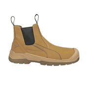 Puma - Tanami 