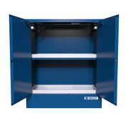 Brady Corrosive Substance Storage Cabinet 