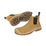 Puma  Tanami 