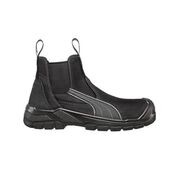 Puma  Tanami 